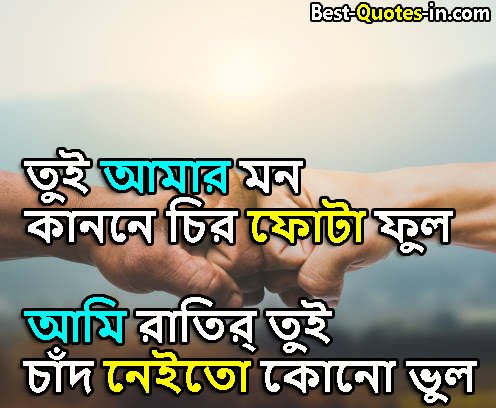Friendship quotes in bengali for instagram
